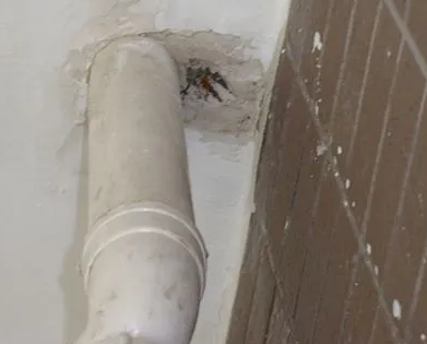 山阴漏水检测哪家好